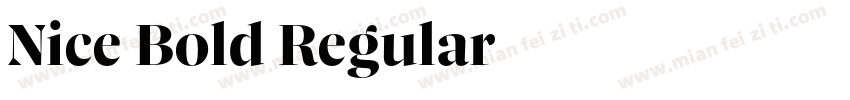 Nice Bold Regular字体转换